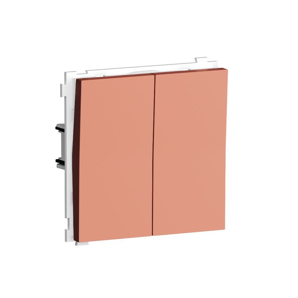 Выключатель двухклавишный встраиваемый проходной Donel R98 Коралл матовый DA10800-DA29545