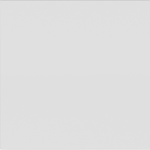 Заглушка Donel R98 Белый матовый DA26833