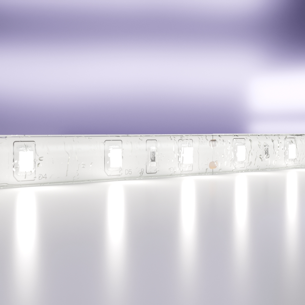 Светодиодная лента Standard Maytoni Led Strip Standard 5 м 6000 K Белый 10141